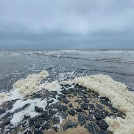 Hazenborgh In Near The Sea