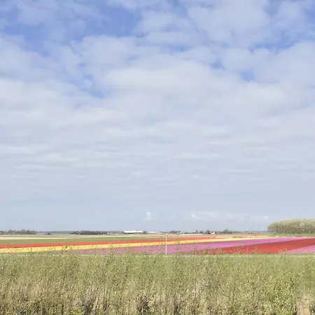 Hazenborgh In Near The Sea Vakantiehuis Callantsoog