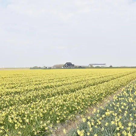 Hazenborgh In Near The Sea
