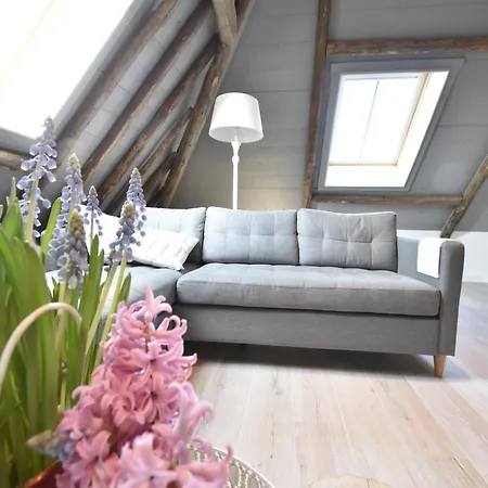 Vakantiehuis Hazenborgh In Near The Sea Callantsoog