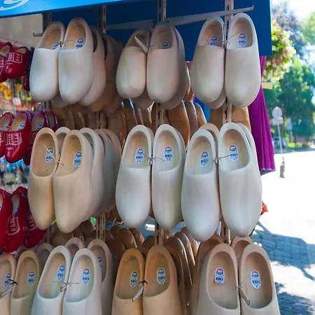 Hazenborgh In Near The Sea