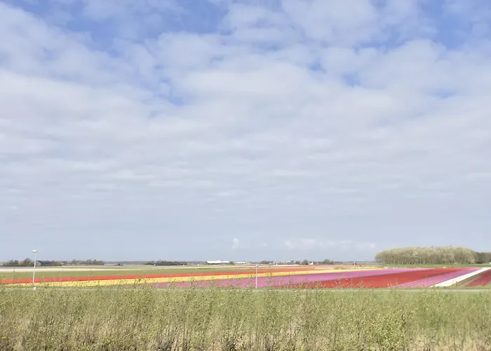 Hazenborgh In Near The Sea 펜션 칼란트소그