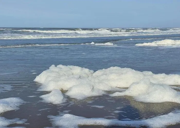 펜션 Hazenborgh In Near The Sea 칼란트소그