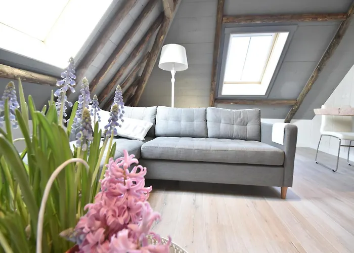 펜션 Hazenborgh In Near The Sea 칼란트소그