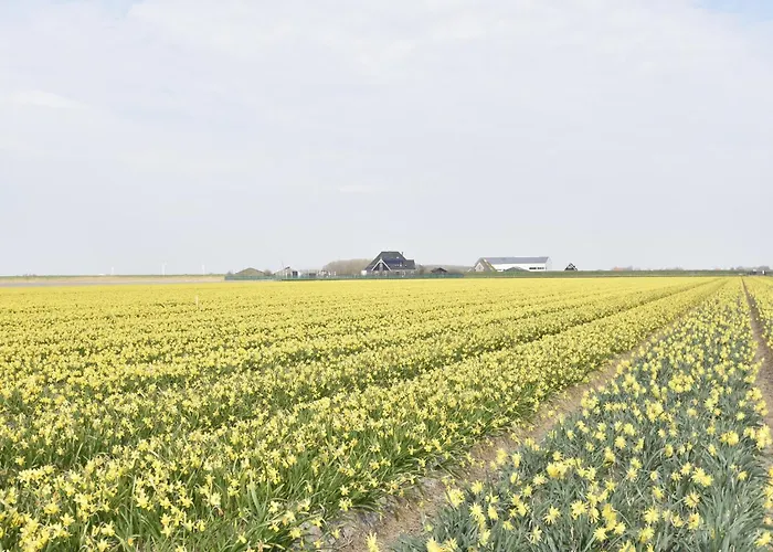 Hazenborgh In Near The Sea 펜션 *